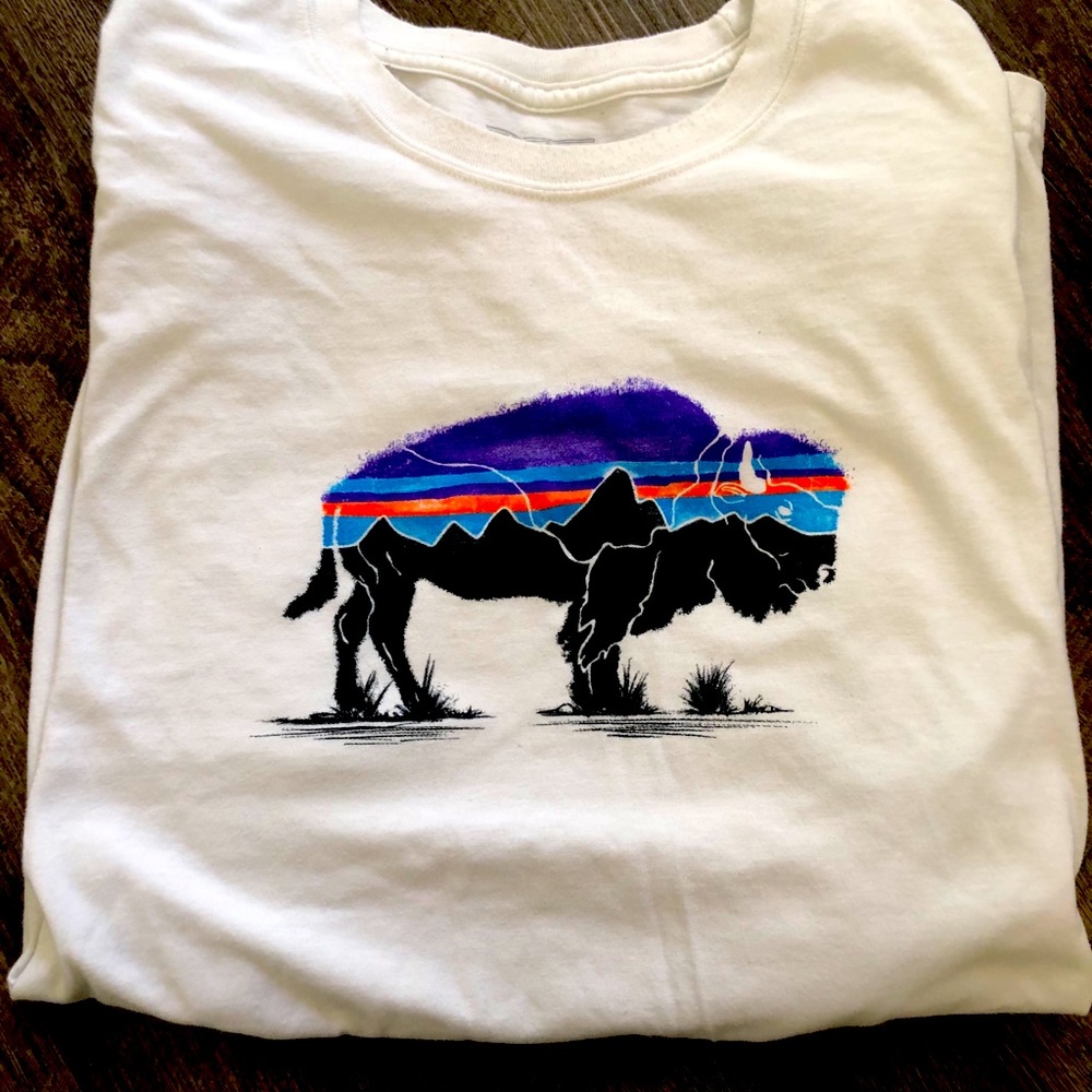 Men’s Patagonia Long sleeve T-shirt